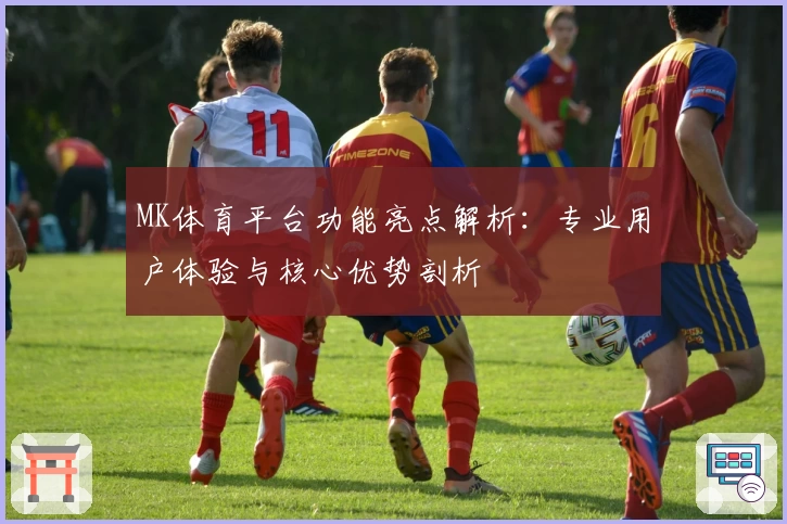 MK体育平台功能亮点解析：专业用户体验与核心优势剖析